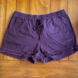 Dark Purple Loft Shorts